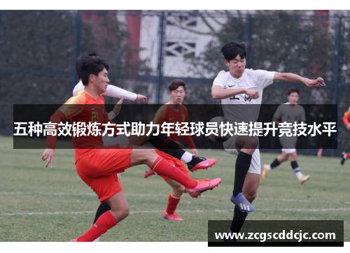 五种高效锻炼方式助力年轻球员快速提升竞技水平