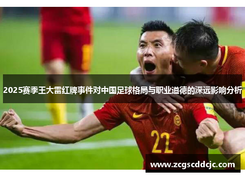 2025赛季王大雷红牌事件对中国足球格局与职业道德的深远影响分析