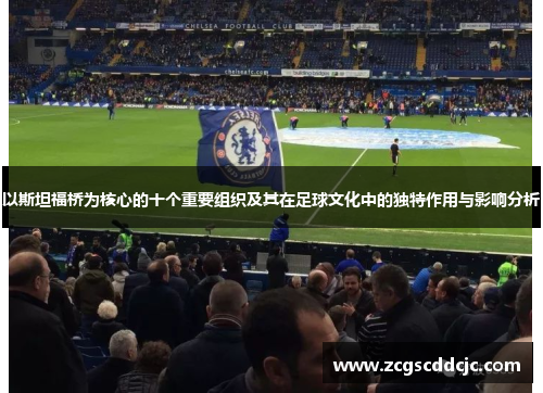 以斯坦福桥为核心的十个重要组织及其在足球文化中的独特作用与影响分析