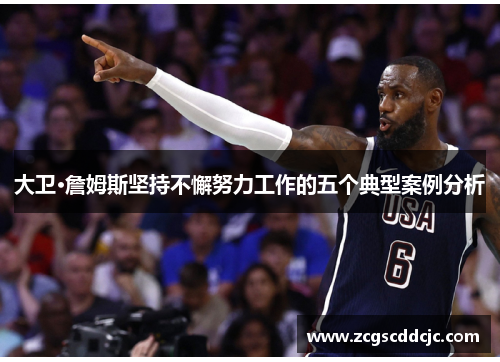 大卫·詹姆斯坚持不懈努力工作的五个典型案例分析