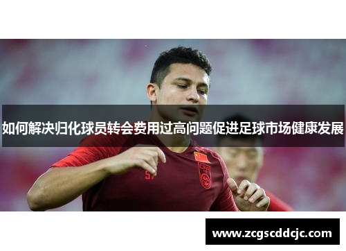 如何解决归化球员转会费用过高问题促进足球市场健康发展